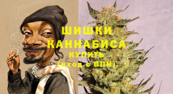крисы Белокуриха