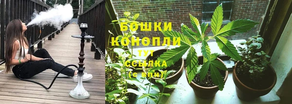 крисы Белокуриха