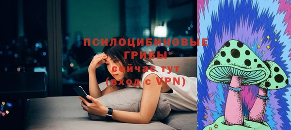 амф Беломорск