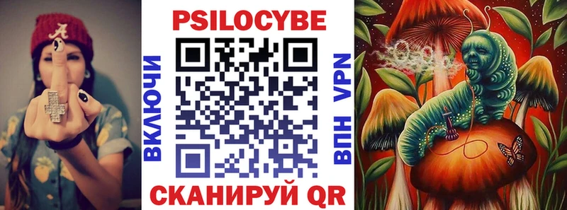 Псилоцибиновые грибы GOLDEN TEACHER  как найти наркотики  Касимов 